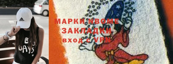 прущие грибы Бородино