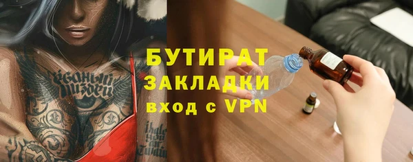 прущие грибы Бородино