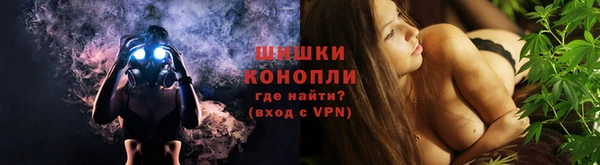 прущие грибы Бородино