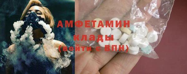 прущие грибы Бородино