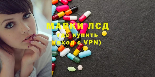 прущие грибы Бородино