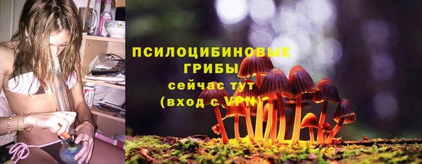 прущие грибы Бородино