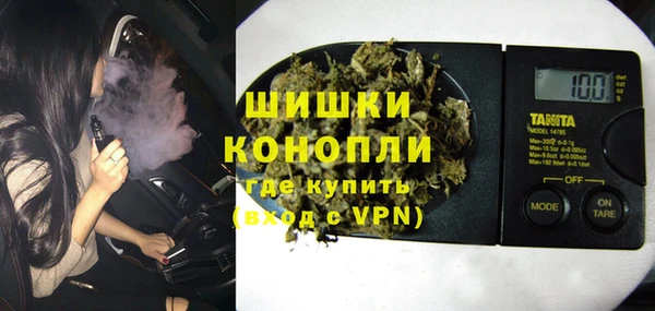 прущие грибы Бородино