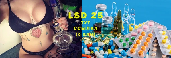 прущие грибы Бородино