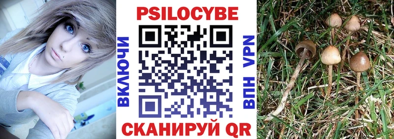 Купить закладки  Абдулино  Галлюциногенные грибы GOLDEN TEACHER 
